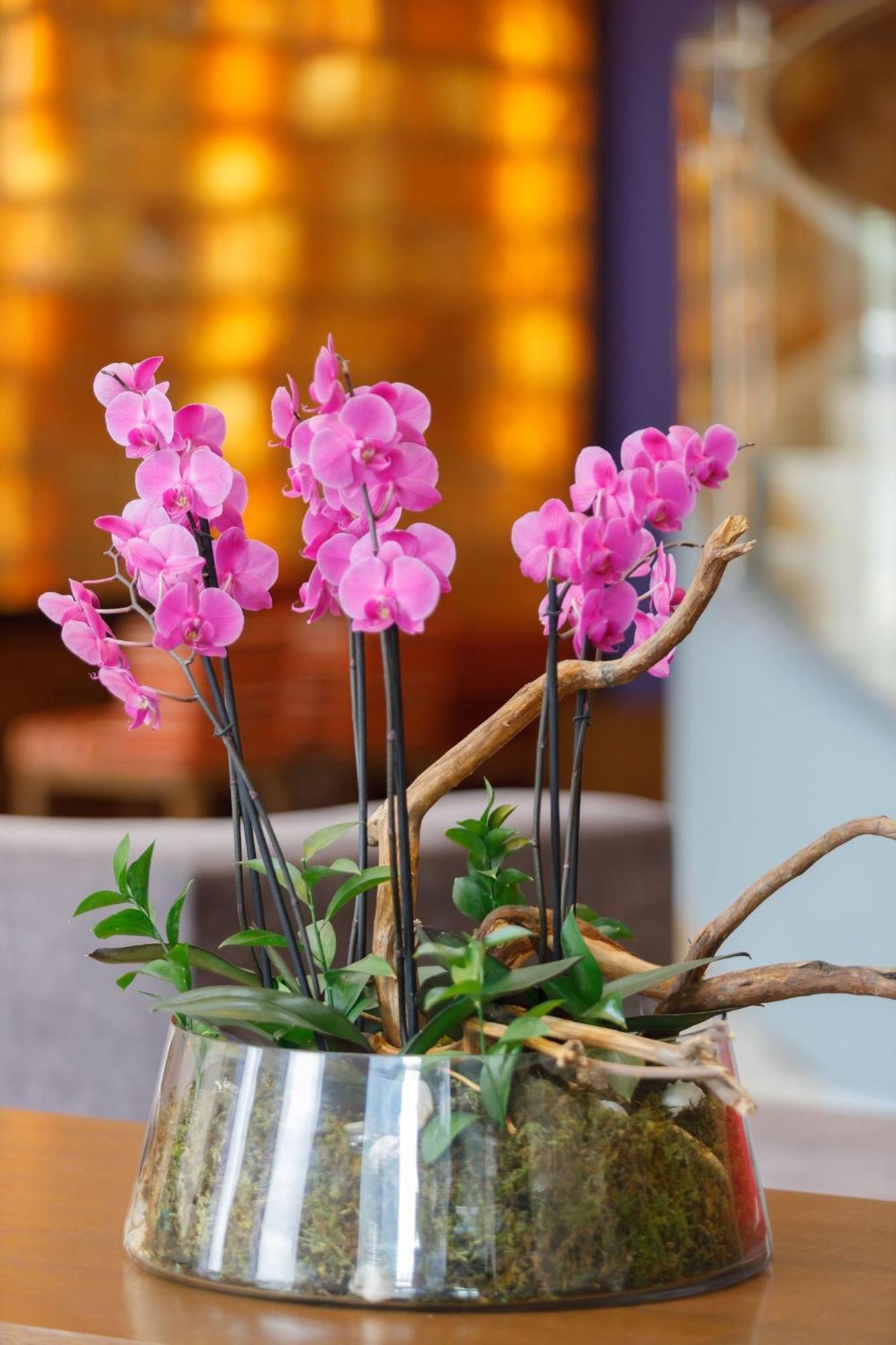 Camino Real Pedregal Mexico Ξενοδοχείο Εξωτερικό φωτογραφία Flower arrangement